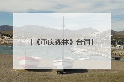 《重庆森林》台词