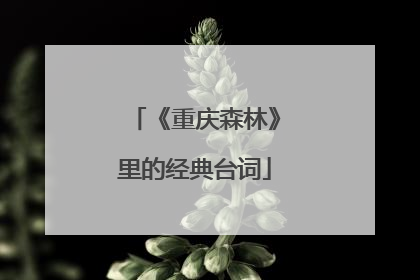 《重庆森林》里的经典台词