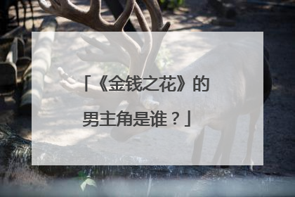 《金钱之花》的男主角是谁?