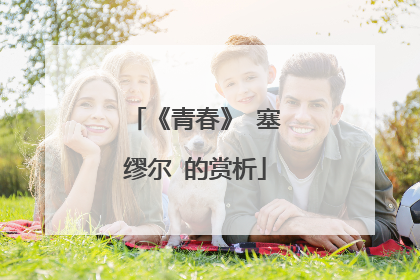 《青春》 塞缪尔 的赏析