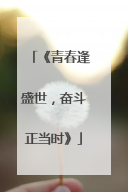 《青春逢盛世,奋斗正当时》