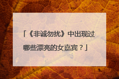 《非诚勿扰》中出现过哪些漂亮的女嘉宾?