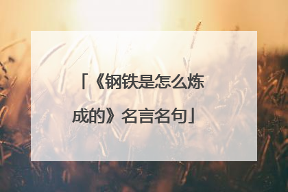 《钢铁是怎么炼成的》名言名句