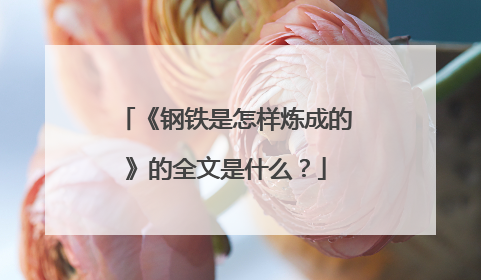《钢铁是怎样炼成的》的全文是什么?