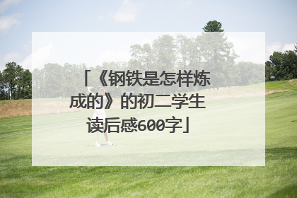 《钢铁是怎样炼成的》的初二学生读后感600字