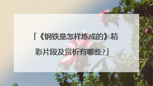 《钢铁是怎样炼成的》精彩片段及赏析有哪些?