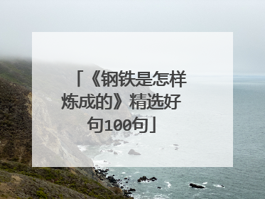 《钢铁是怎样炼成的》精选好句100句