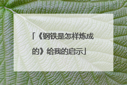 《钢铁是怎样炼成的》给我的启示