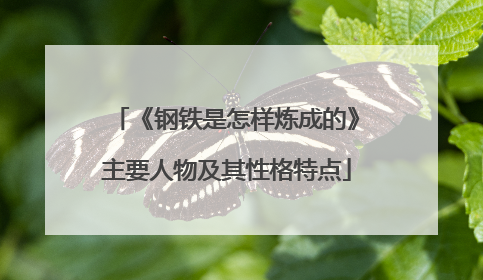 《钢铁是怎样炼成的》主要人物及其性格特点