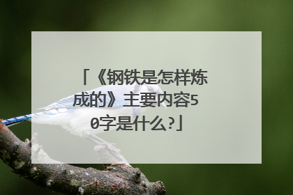 《钢铁是怎样炼成的》主要内容50字是什么?