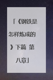 《钢铁是怎样炼成的》下篇 第八章