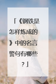 《钢铁是怎样炼成的》中的名言警句有哪些?