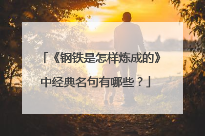 《钢铁是怎样炼成的》中经典名句有哪些？