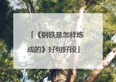 《钢铁是怎样炼成的》好句好段