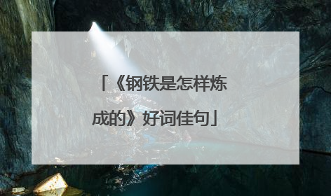 《钢铁是怎样炼成的》好词佳句