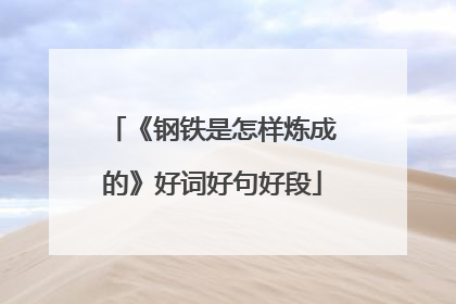 《钢铁是怎样炼成的》好词好句好段