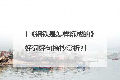 《钢铁是怎样炼成的》好词好句摘抄赏析?