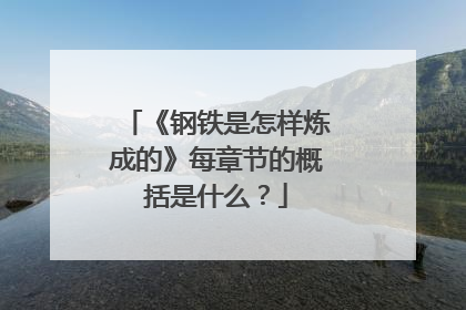 《钢铁是怎样炼成的》每章节的概括是什么?