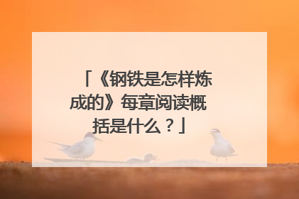 《钢铁是怎样炼成的》每章阅读概括是什么？