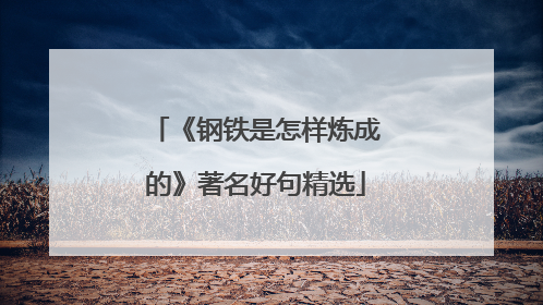 《钢铁是怎样炼成的》著名好句精选
