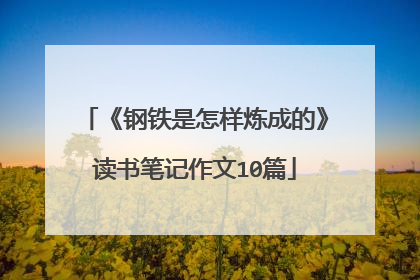 《钢铁是怎样炼成的》读书笔记作文10篇