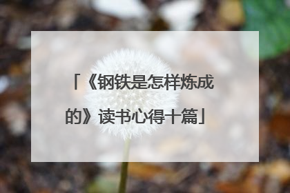 《钢铁是怎样炼成的》读书心得十篇