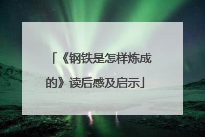 《钢铁是怎样炼成的》读后感及启示