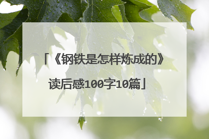 《钢铁是怎样炼成的》读后感100字10篇