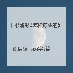 《钢铁是怎样炼成的》读后感1500字3篇