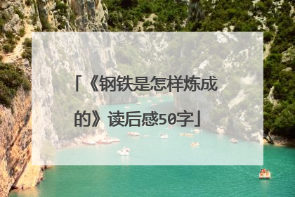《钢铁是怎样炼成的》读后感50字
