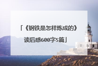《钢铁是怎样炼成的》读后感600字5篇