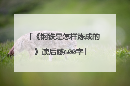 《钢铁是怎样炼成的》读后感600字