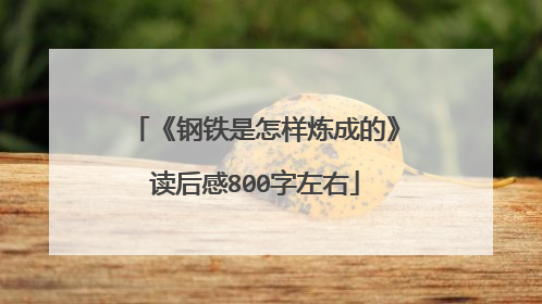 《钢铁是怎样炼成的》读后感800字左右