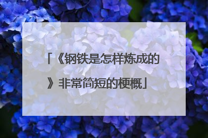《钢铁是怎样炼成的》非常简短的梗概