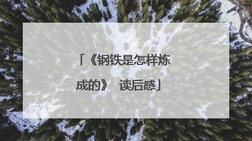 《钢铁是怎样炼成的》 读后感