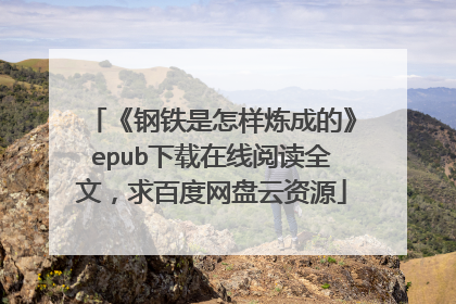 《钢铁是怎样炼成的》epub下载在线阅读全文,求百度网盘云资源