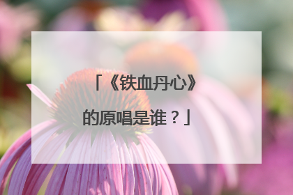 《铁血丹心》的原唱是谁？