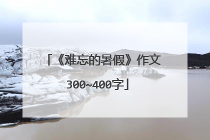 《难忘的暑假》作文300~400字