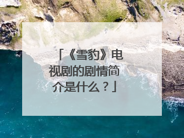 《雪豹》电视剧的剧情简介是什么？