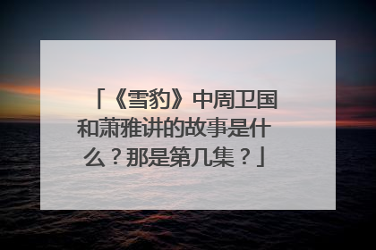 《雪豹》中周卫国和萧雅讲的故事是什么？那是第几集？