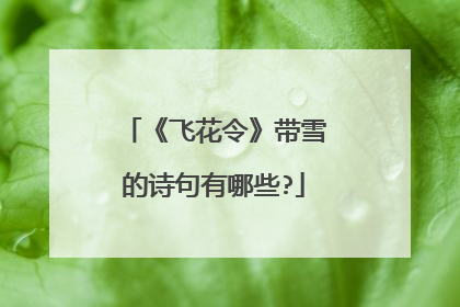 《飞花令》带雪的诗句有哪些?