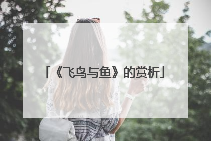 《飞鸟与鱼》的赏析