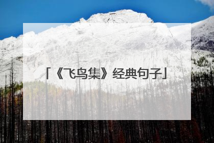 《飞鸟集》经典句子