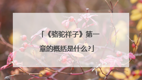 《骆驼祥子》第一章的概括是什么?