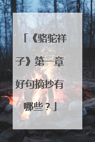 《骆驼祥子》第一章好句摘抄有哪些?