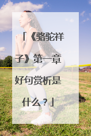 《骆驼祥子》第一章好句赏析是什么？