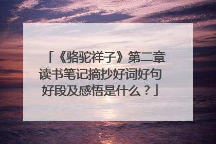 《骆驼祥子》第二章读书笔记摘抄好词好句好段及感悟是什么?