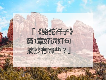 《骆驼祥子》第1章好词好句摘抄有哪些?