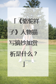 《骆驼祥子》人物描写摘抄加赏析是什么？