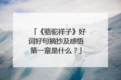 《骆驼祥子》好词好句摘抄及感悟第一章是什么？